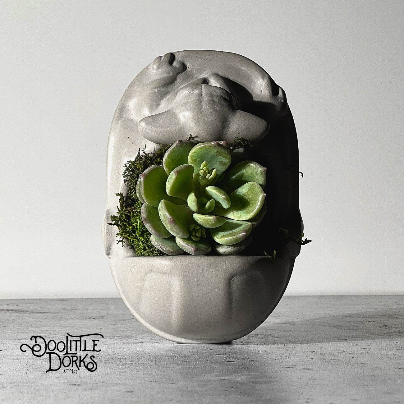 The Foundling Concrete Planter